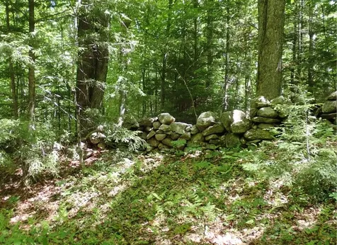 0 Black Bear Road Jamaica VT 05343