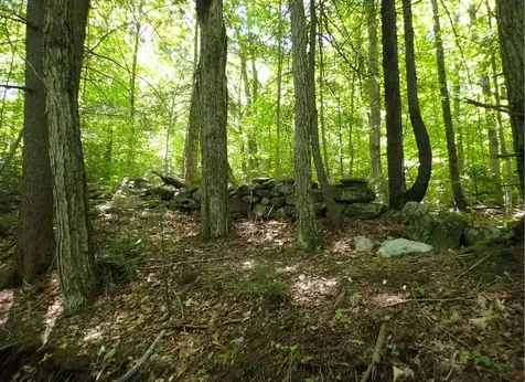0 Black Bear Road Jamaica VT 05343