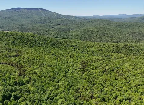 0 Black Bear Road Jamaica VT 05343