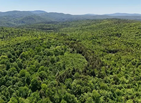 0 Black Bear Road Jamaica VT 05343
