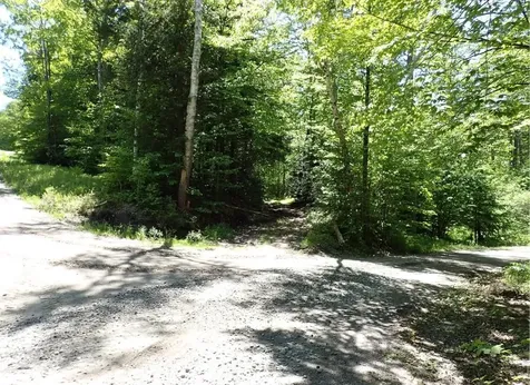 0 Black Bear Road Jamaica VT 05343