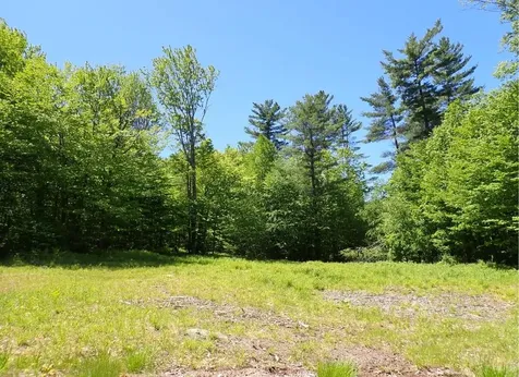 0 Black Bear Road Jamaica VT 05343