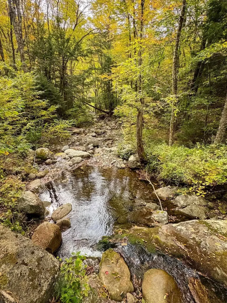 2565 Bingo Brook Road Rochester VT 05767