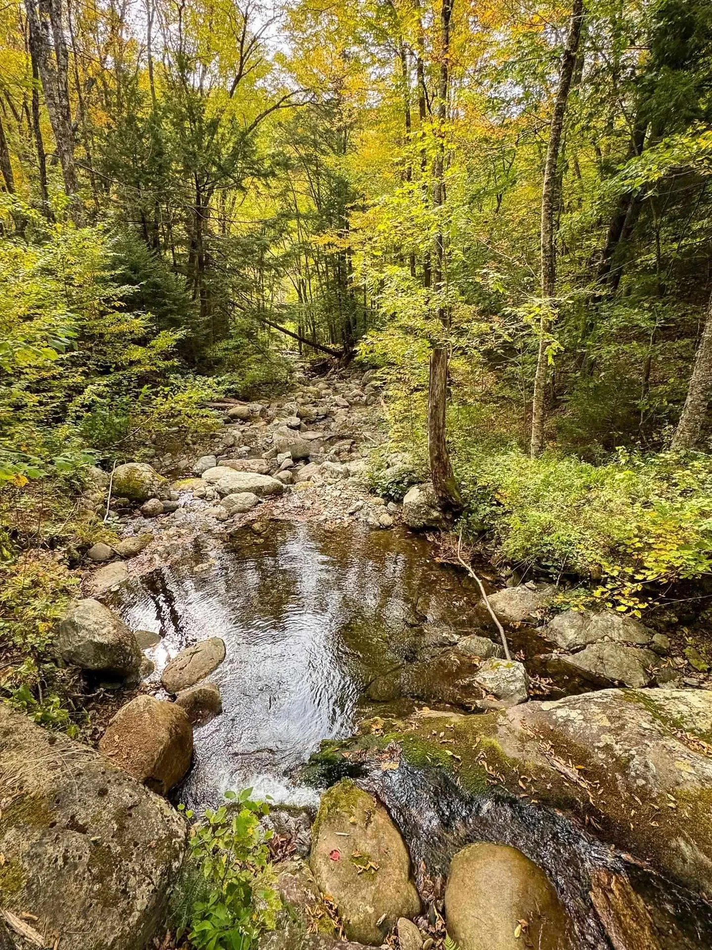 2565 Bingo Brook Road Rochester VT 05767