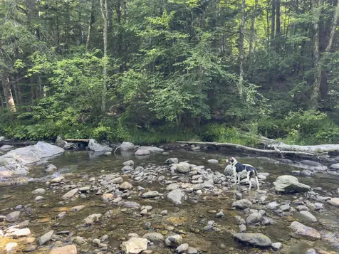 2565 Bingo Brook Road Rochester VT 05767