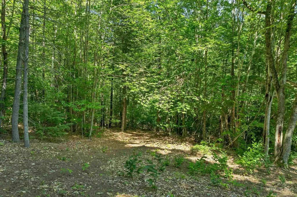 78 Old Granite Road Ossipee NH 03864