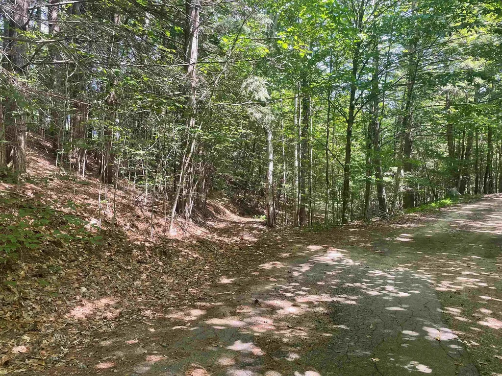 797 New Hampshire Route 3a Route Hill NH 03243
