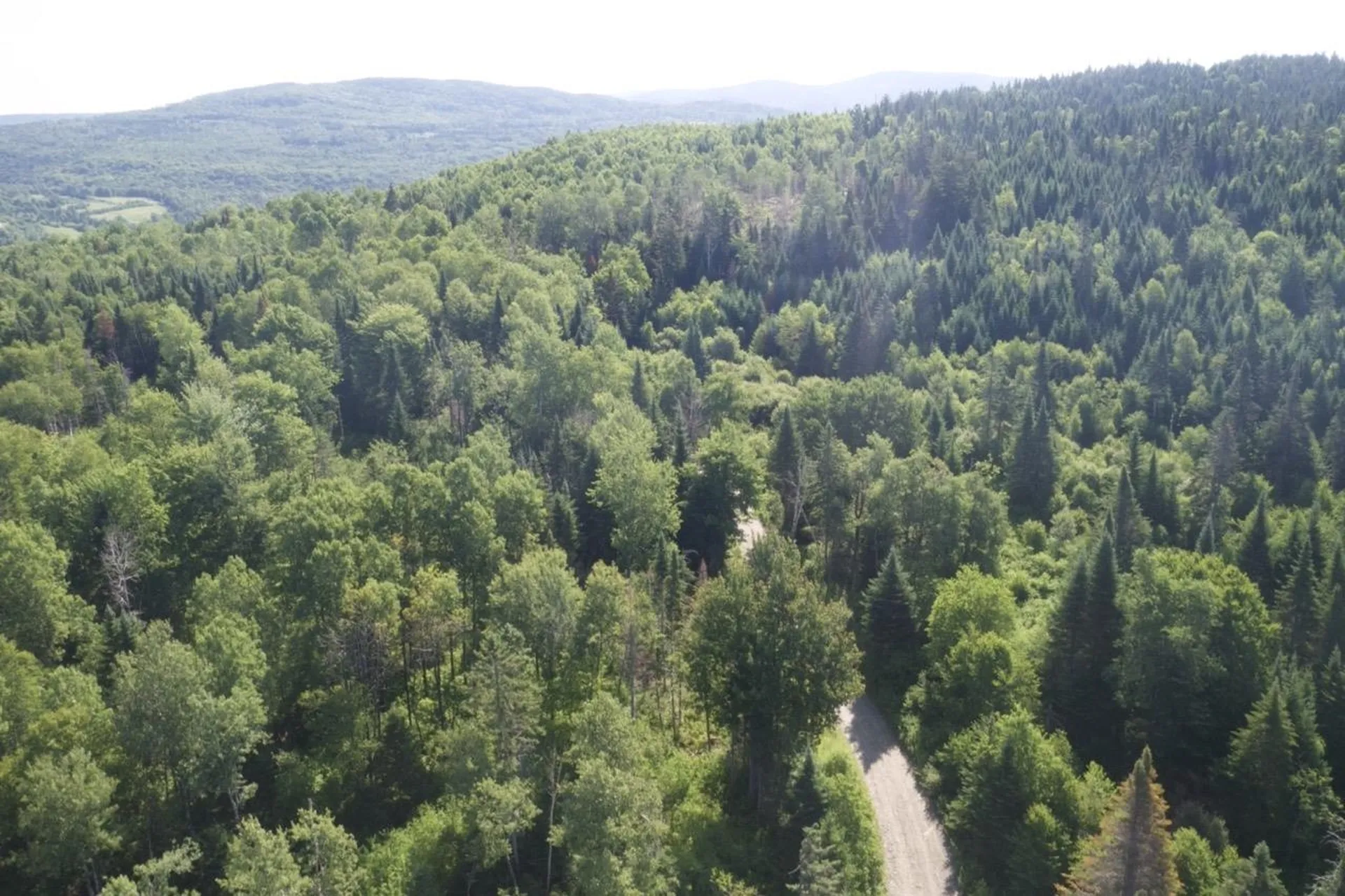 00 Noyes Road Stewartstown NH 03597