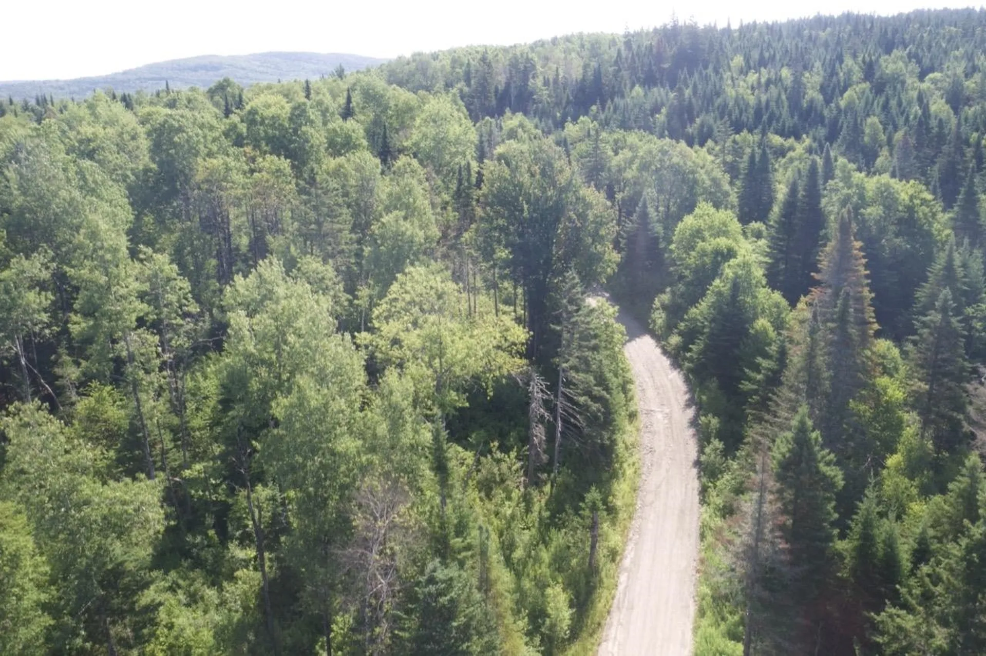 00 Noyes Road Stewartstown NH 03597