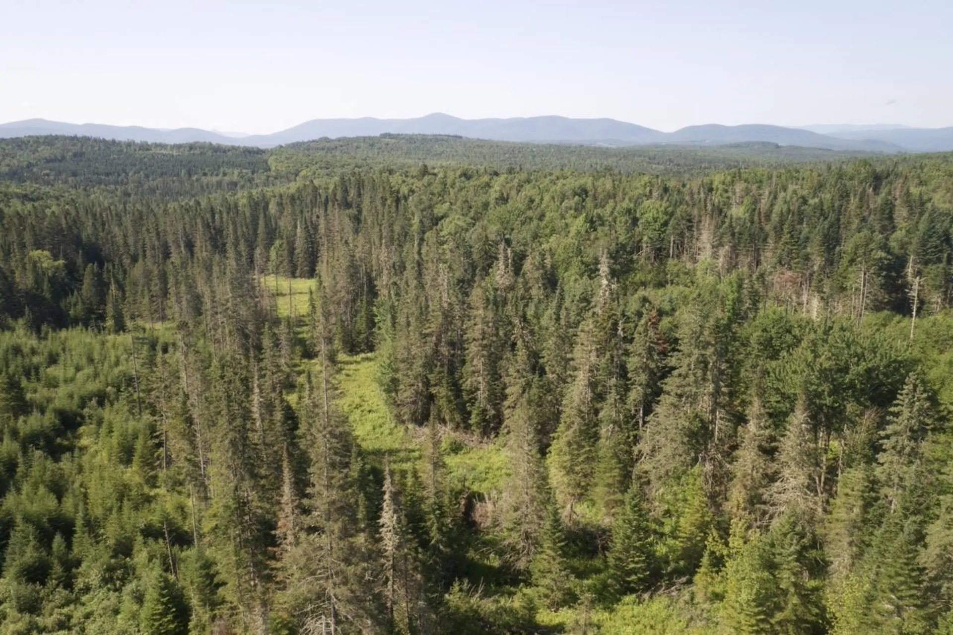 00 Noyes Road Stewartstown NH 03597