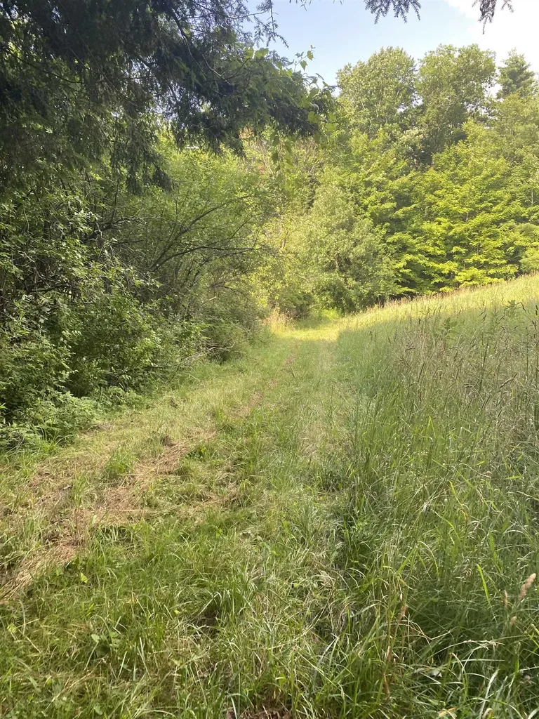 0 Sherman Lane New Haven VT 05472