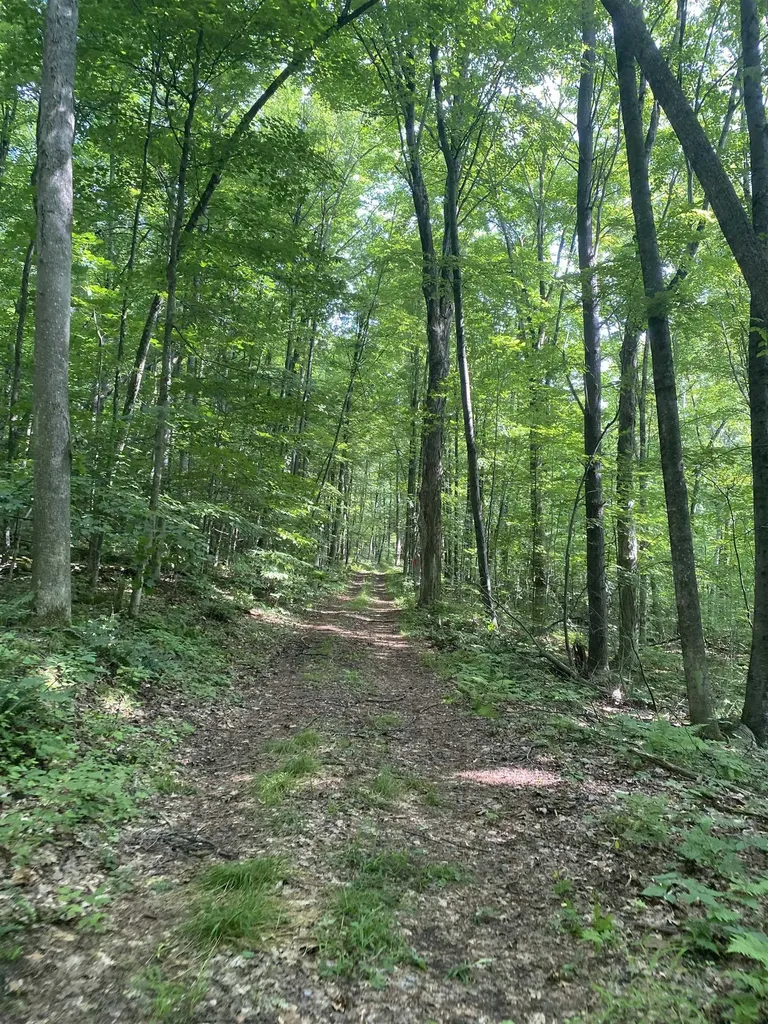 0 Sherman Lane New Haven VT 05472