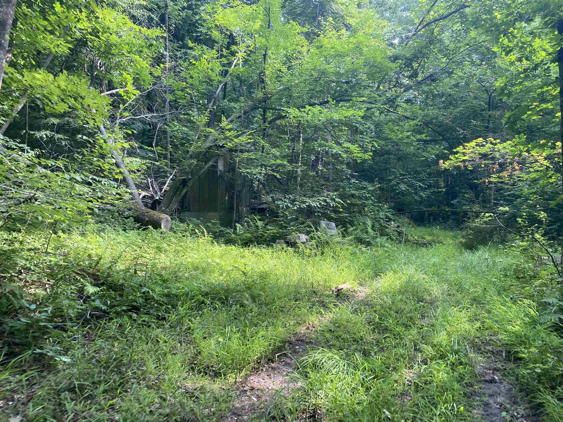 0 Sherman Lane New Haven VT 05472