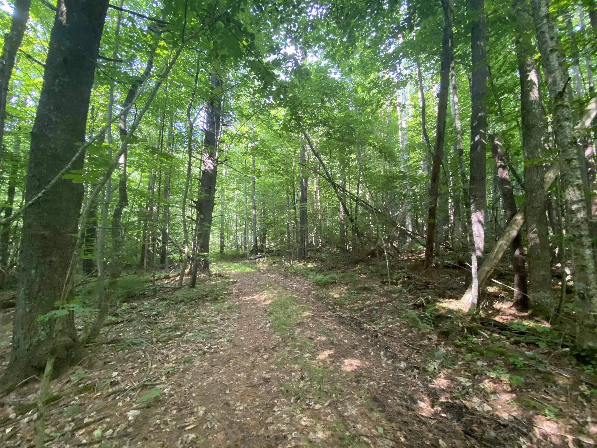 0 Sherman Lane New Haven VT 05472
