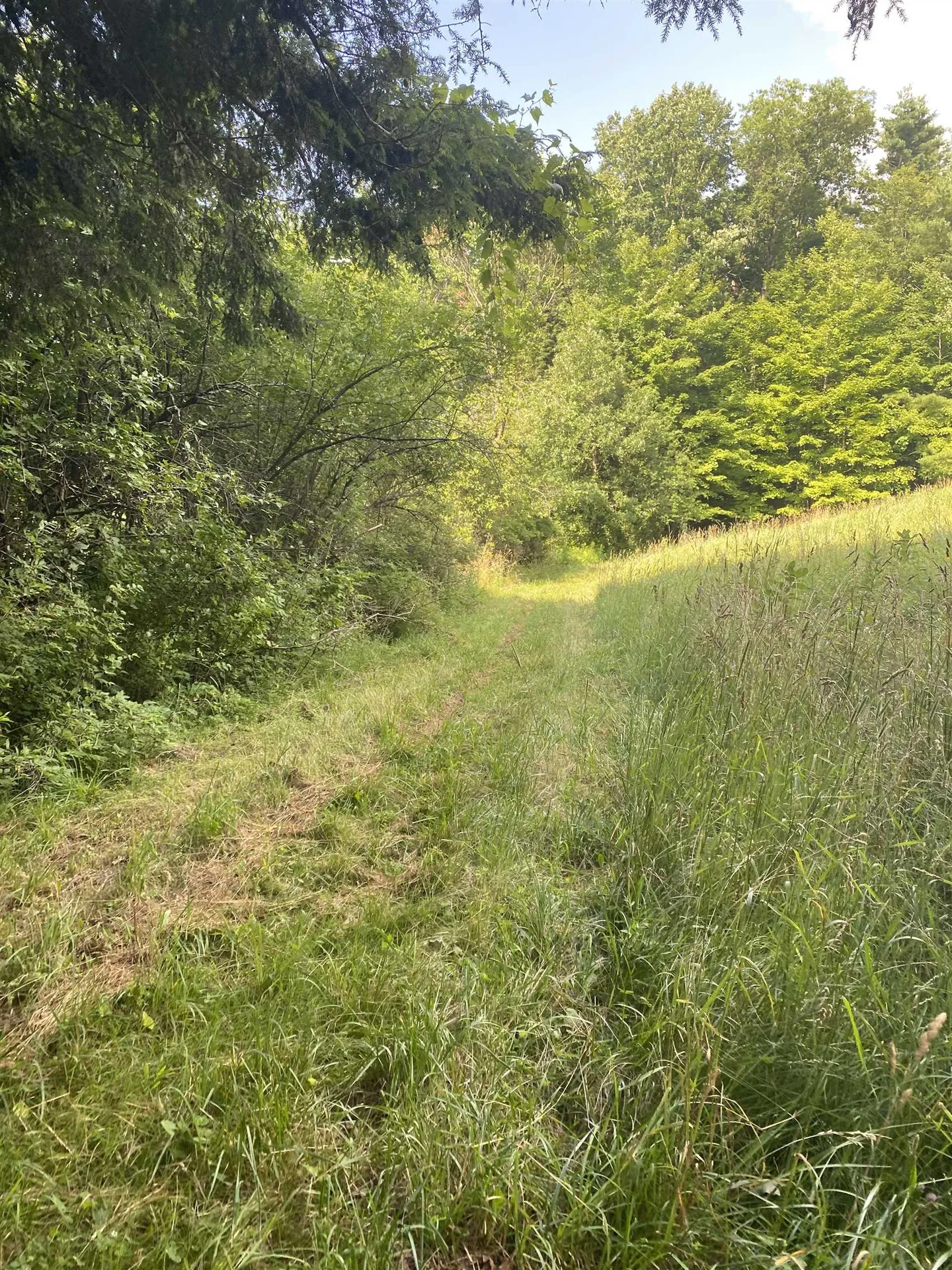 0 Sherman Lane New Haven VT 05472