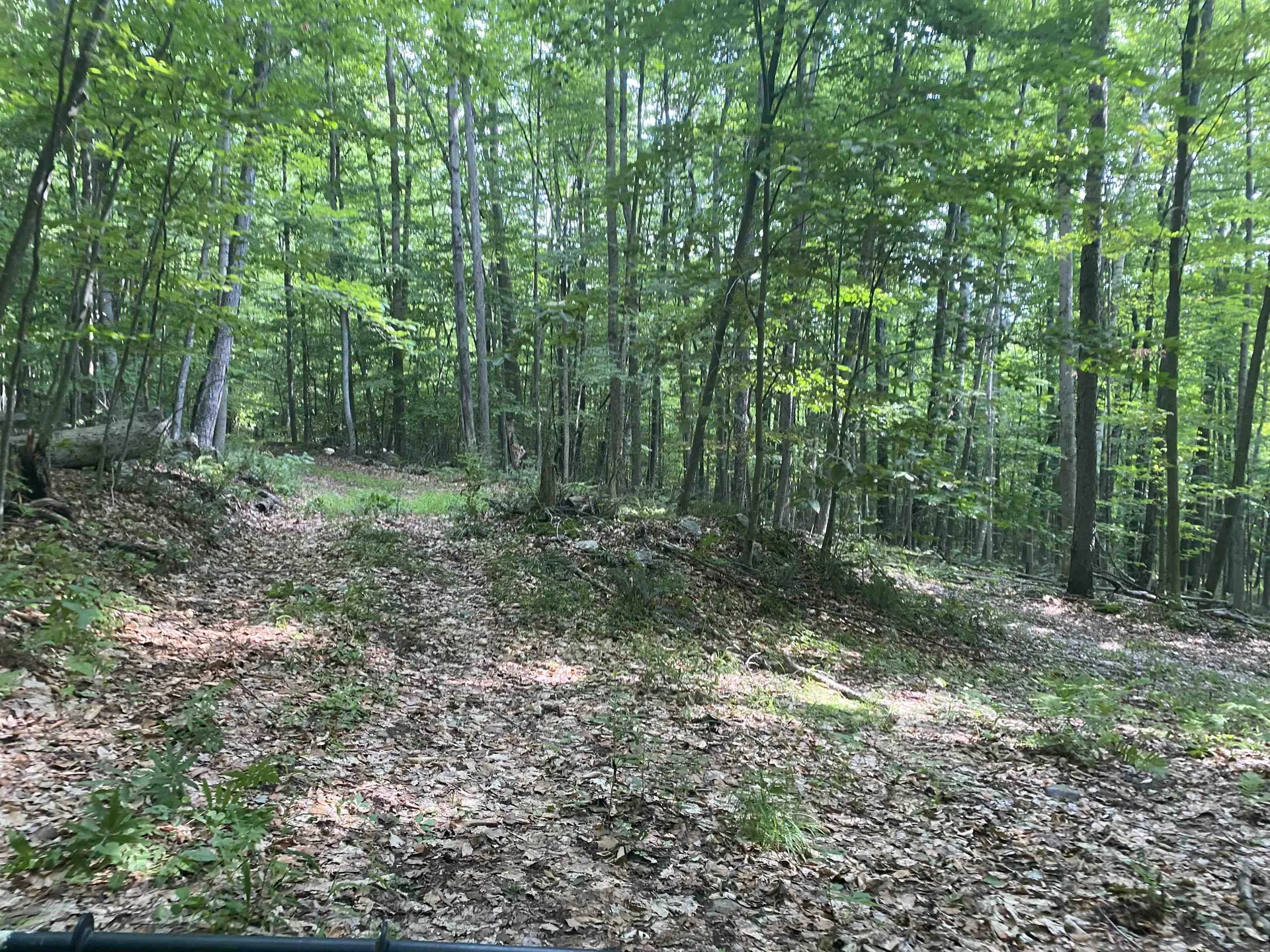 0 Sherman Lane New Haven VT 05472