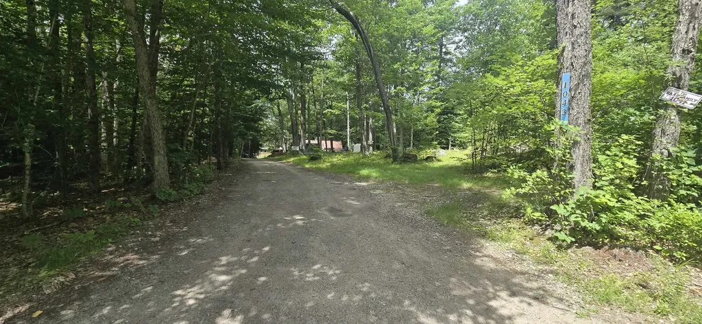 1043 Shedd Hill Road Stoddard NH 03464