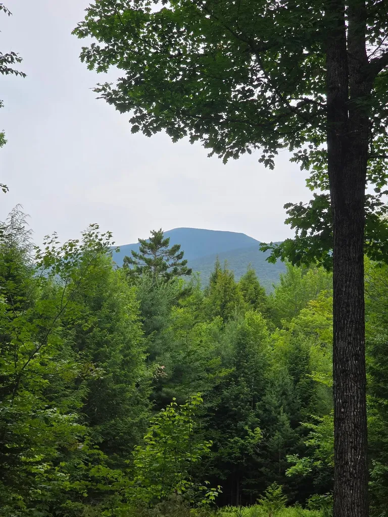 00 Stimson Road Warren NH 03279
