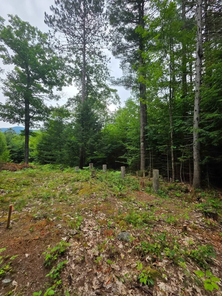 00 Stimson Road Warren NH 03279