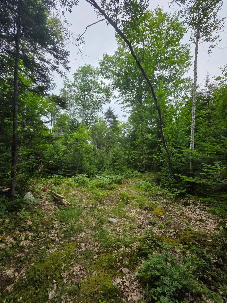 00 Stimson Road Warren NH 03279