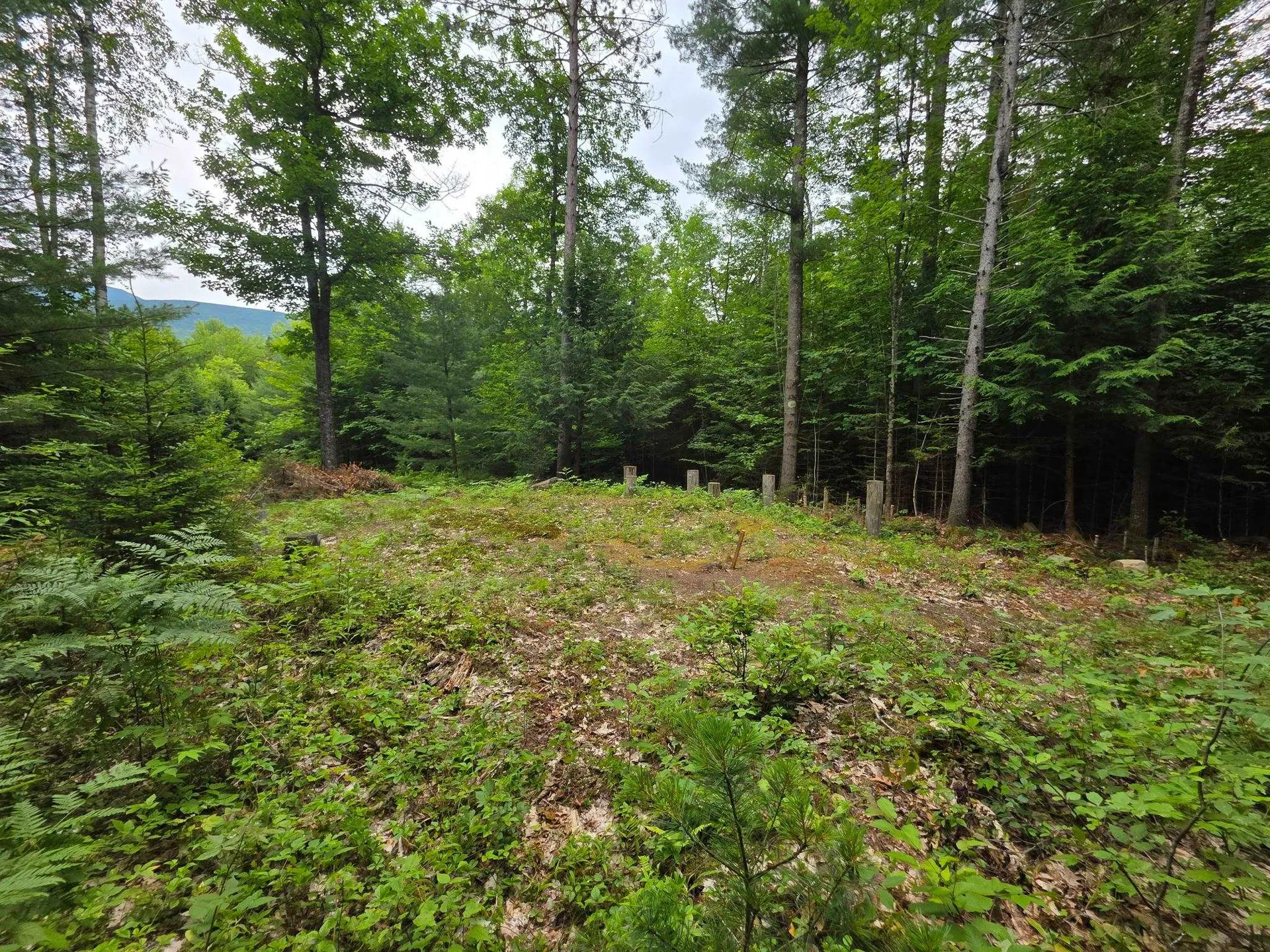 00 Stimson Road Warren NH 03279