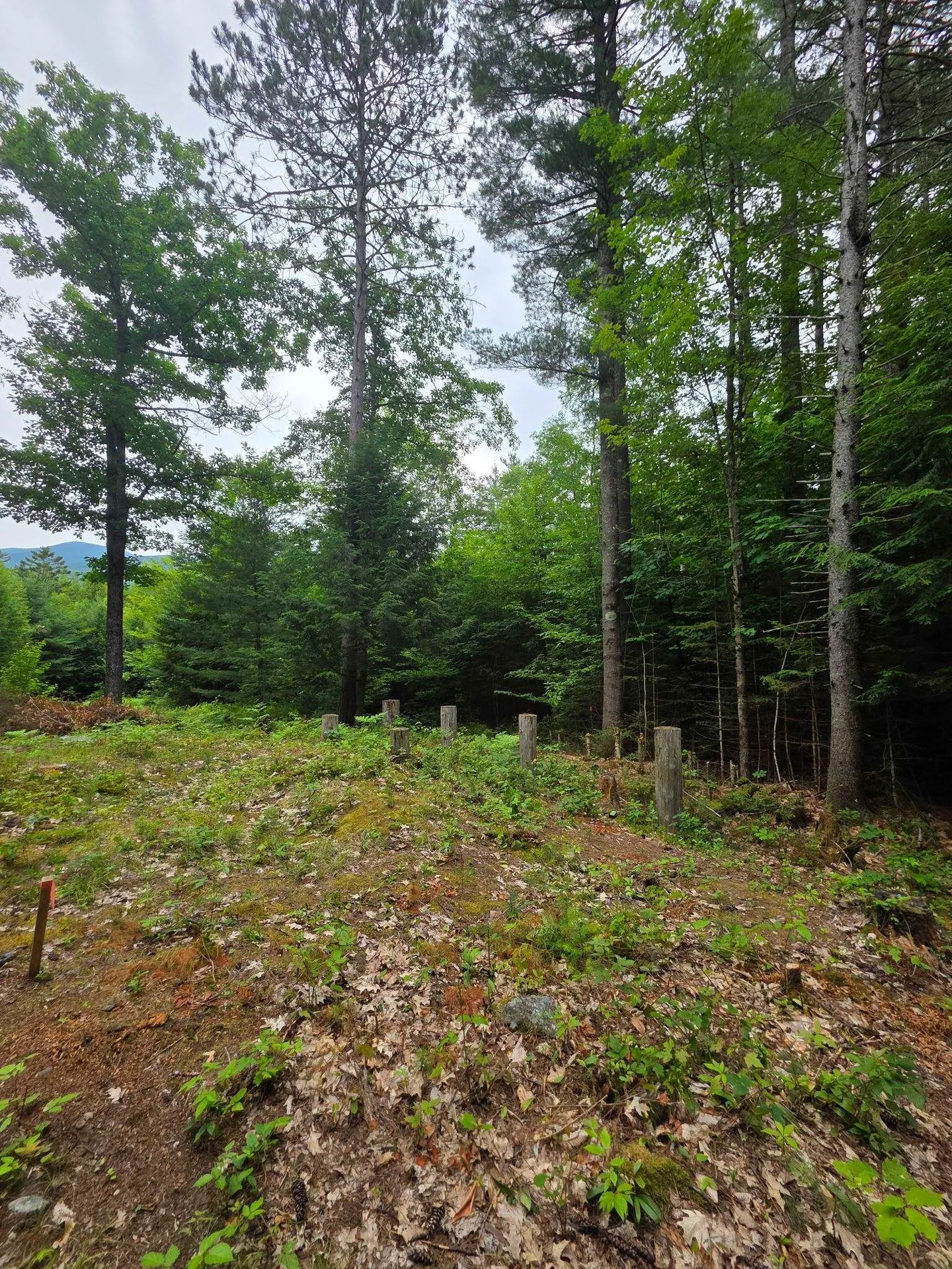 00 Stimson Road Warren NH 03279