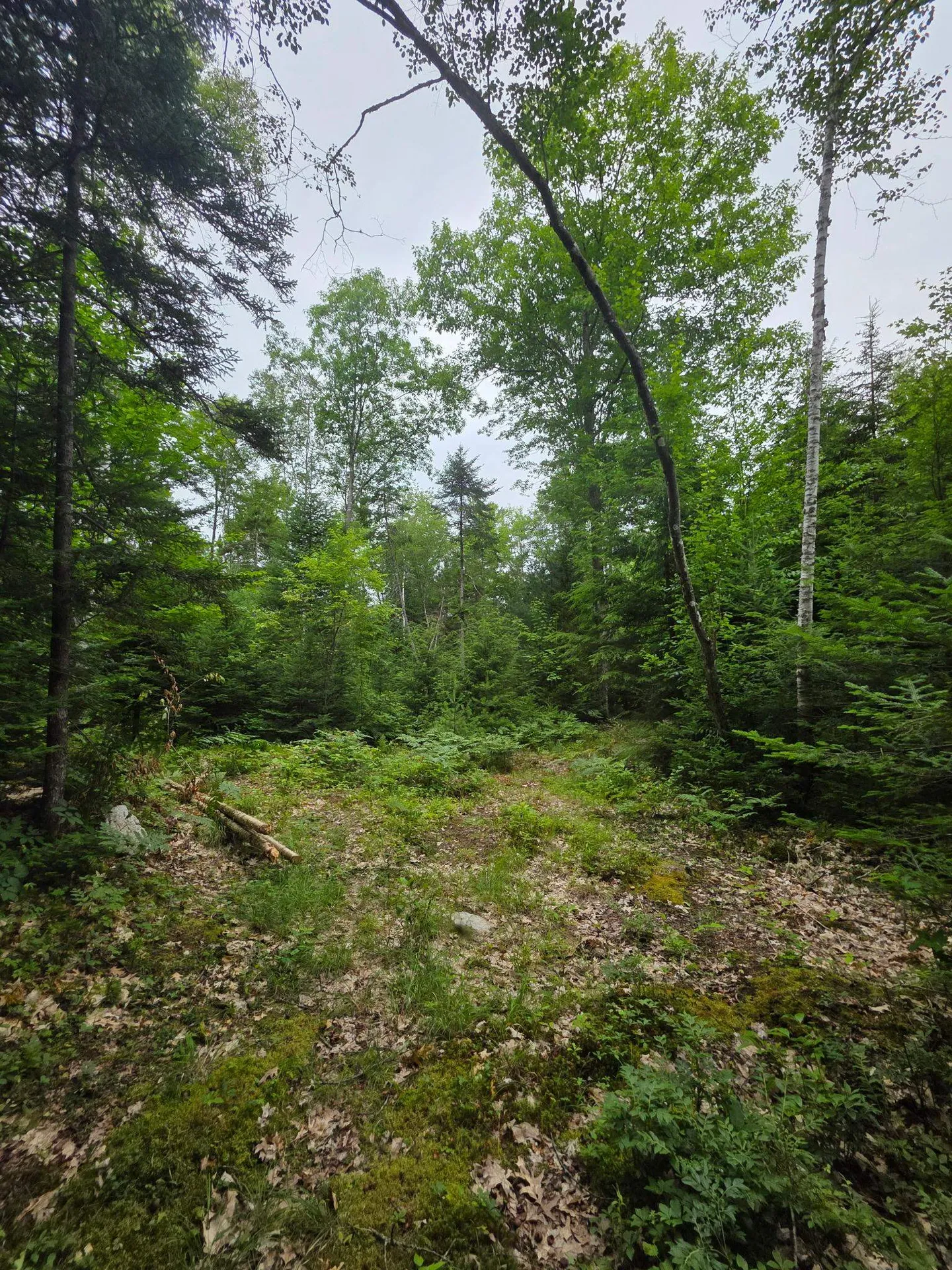 00 Stimson Road Warren NH 03279