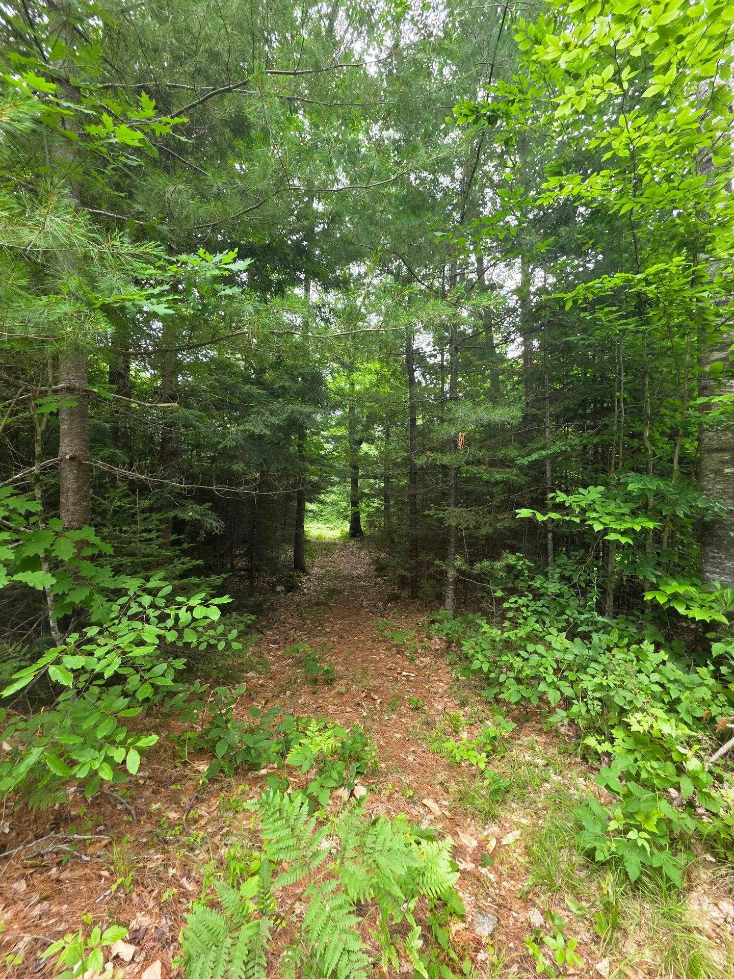00 Stimson Road Warren NH 03279
