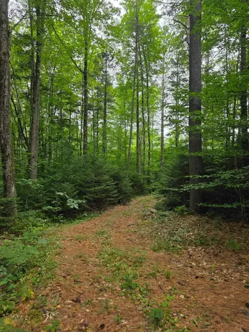00 Stimson Road Warren NH 03279
