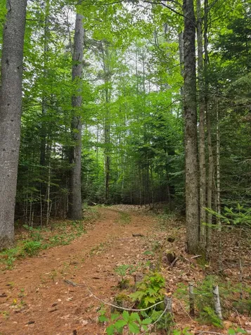 00 Stimson Road Warren NH 03279