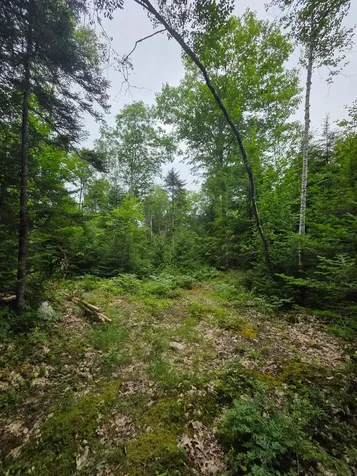 00 Stimson Road Warren NH 03279