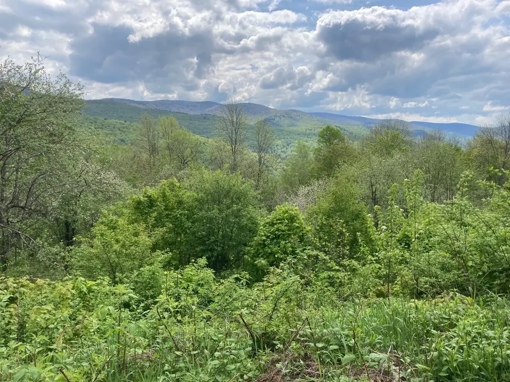 419 Shampeny Hill Road Hancock VT 05748