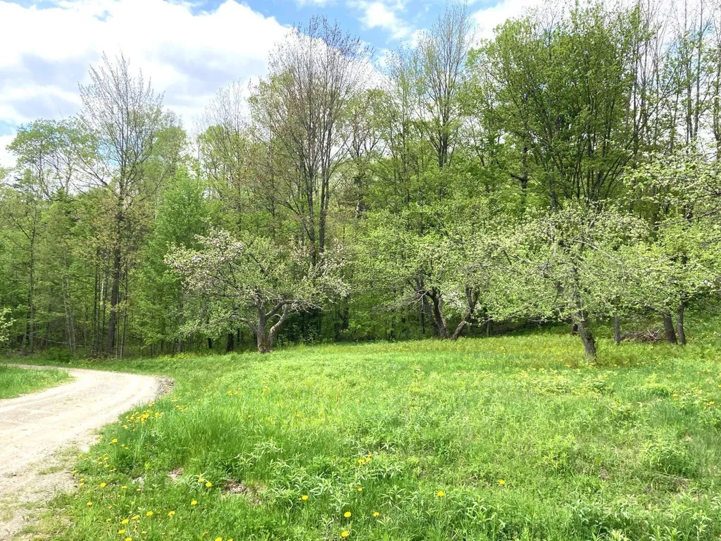 419 Shampeny Hill Road Hancock VT 05748