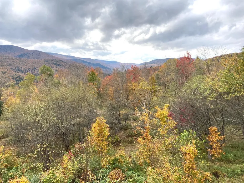 419 Shampeny Hill Road Hancock VT 05748