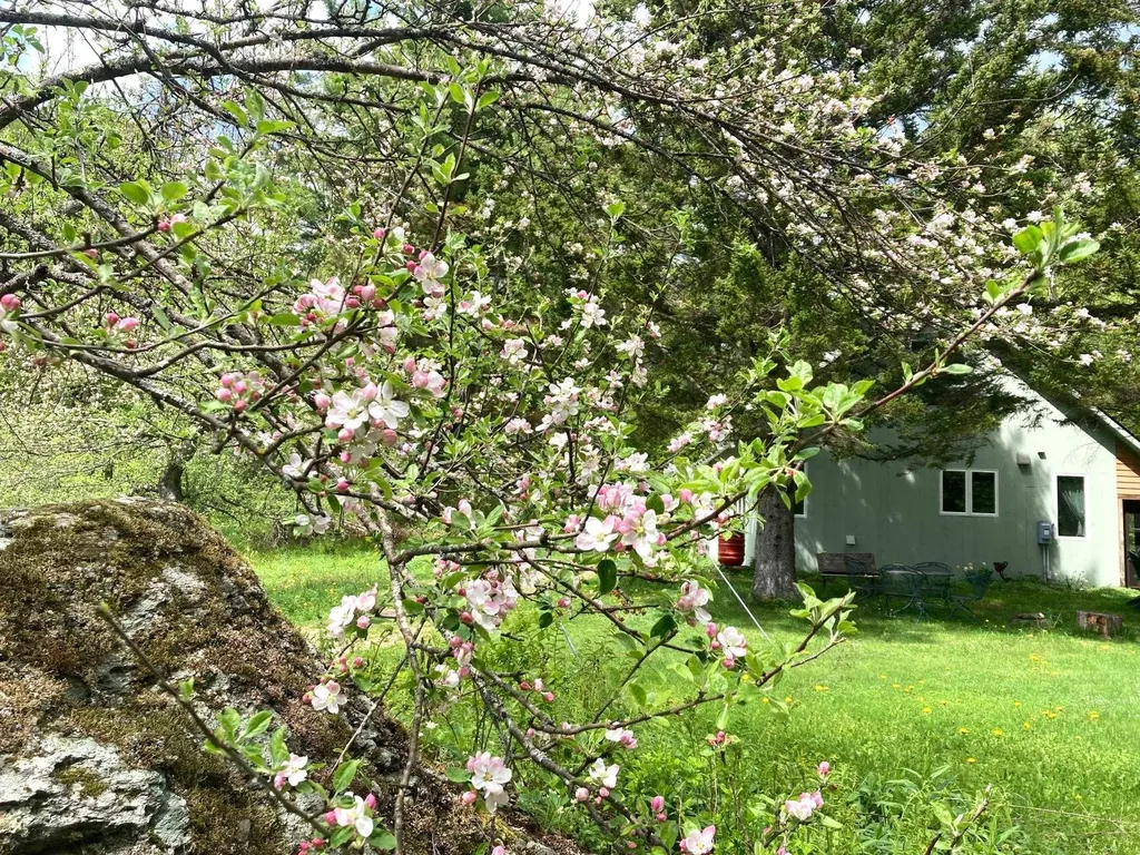 419 Shampeny Hill Road Hancock VT 05748