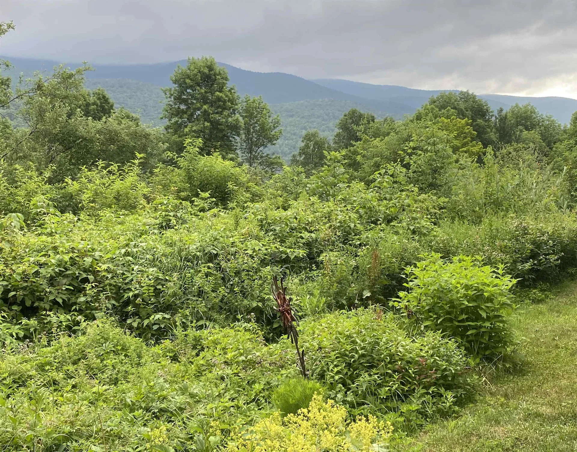 419 Shampeny Hill Road Hancock VT 05748