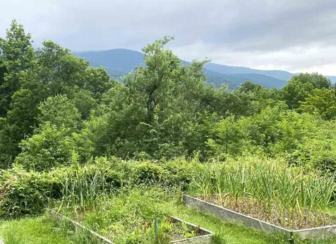419 Shampeny Hill Road Hancock VT 05748