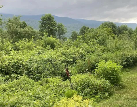 419 Shampeny Hill Road Hancock VT 05748