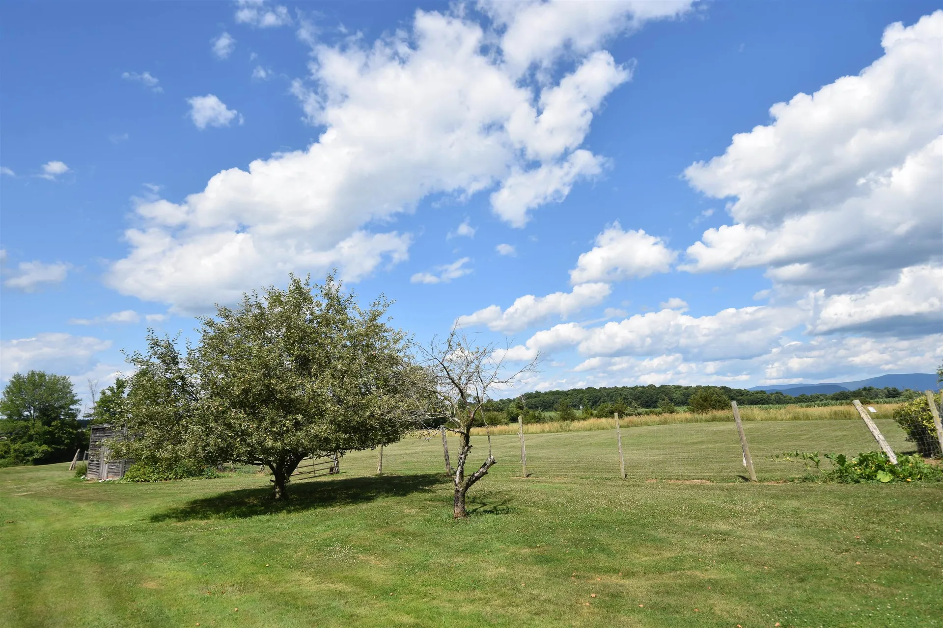 1301 Pearson Road New Haven VT 05472