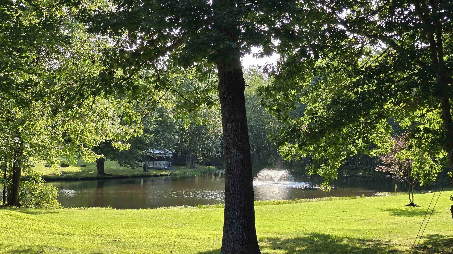 44 Gooseberry Circle Rochester NH 03867