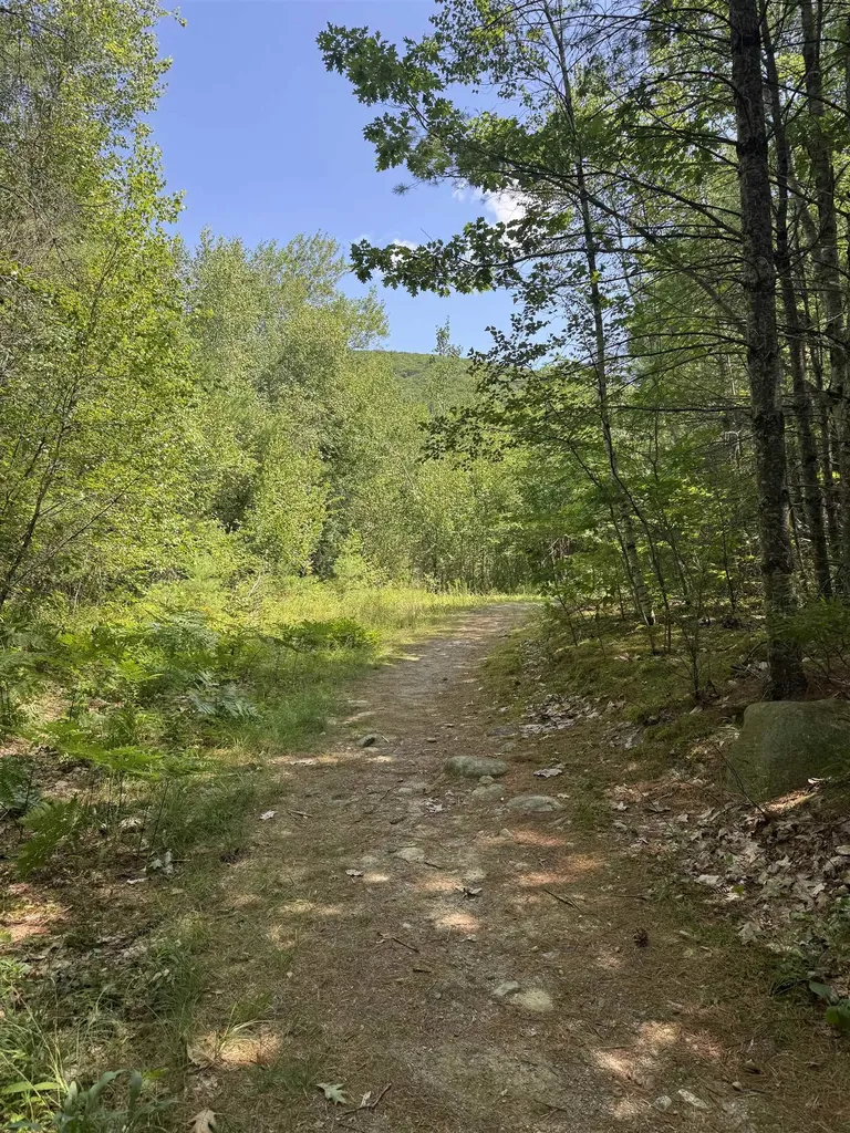 Lot 154-2 Old Mountain Road Moultonborough NH 03254
