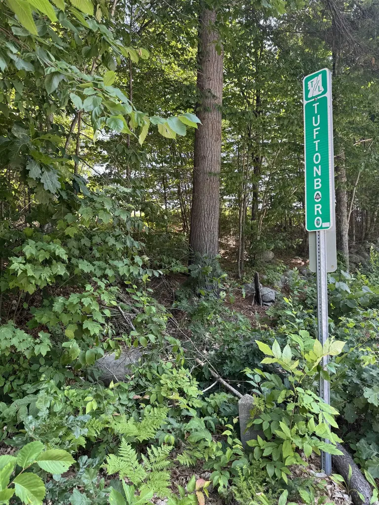 Lot 154-2 Old Mountain Road Moultonborough NH 03254