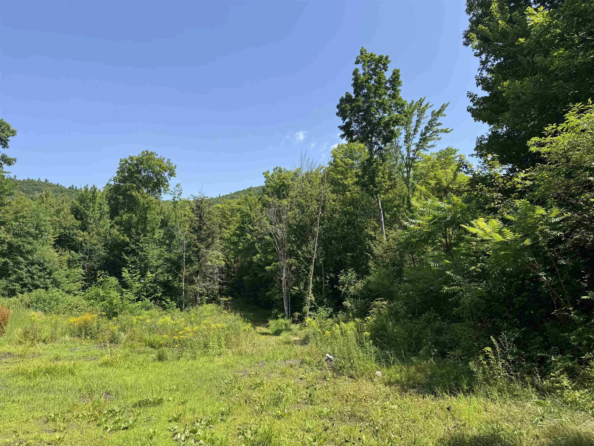 Lot 154-2 Old Mountain Road Moultonborough NH 03254