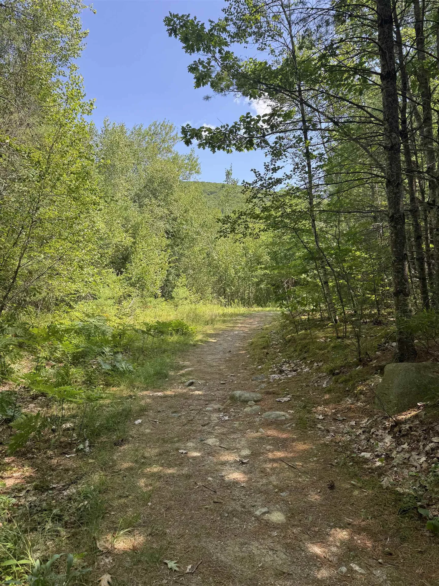 Lot 154-2 Old Mountain Road Moultonborough NH 03254
