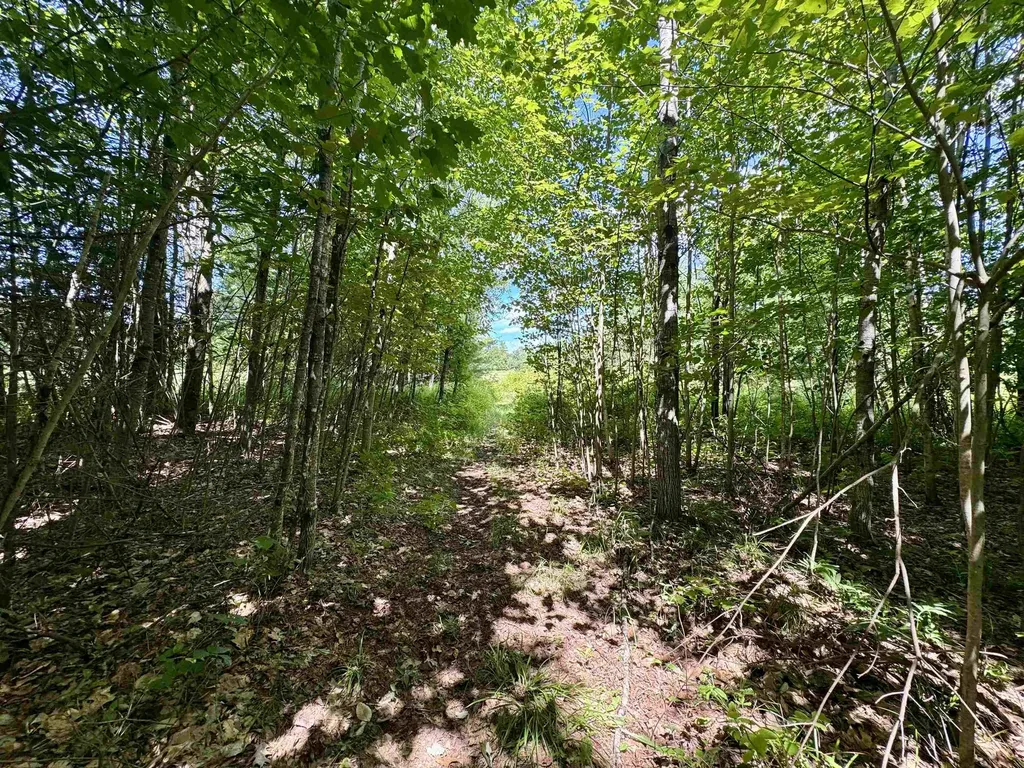 0 Cemetery Road Haverhill NH 03765
