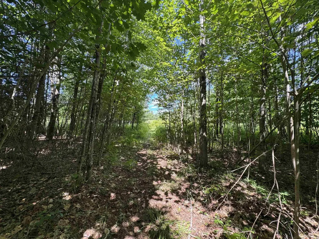 0 Cemetery Road Haverhill NH 03765