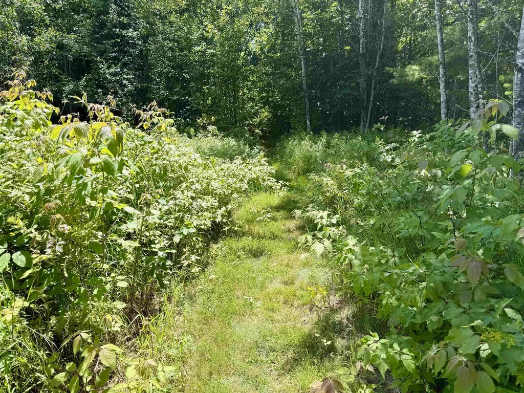 0 Cemetery Road Haverhill NH 03765