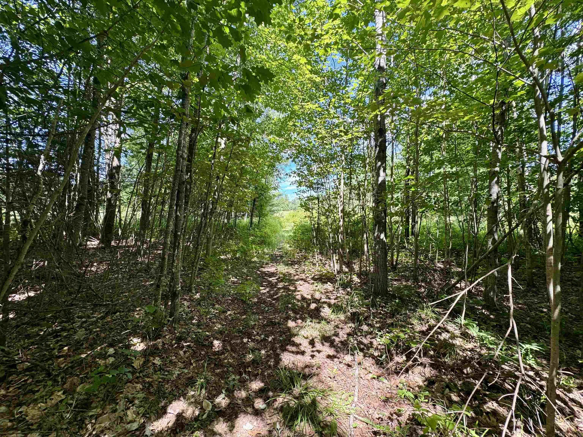 0 Cemetery Road Haverhill NH 03765
