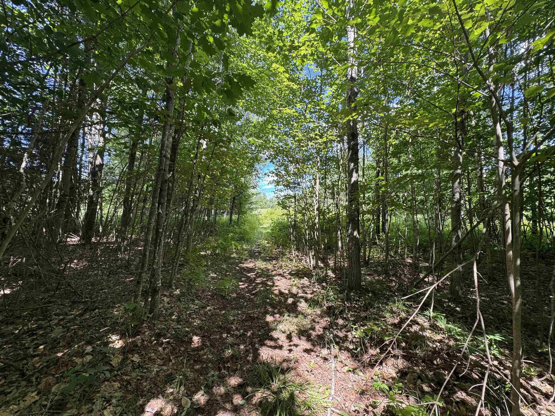 0 Cemetery Road Haverhill NH 03765