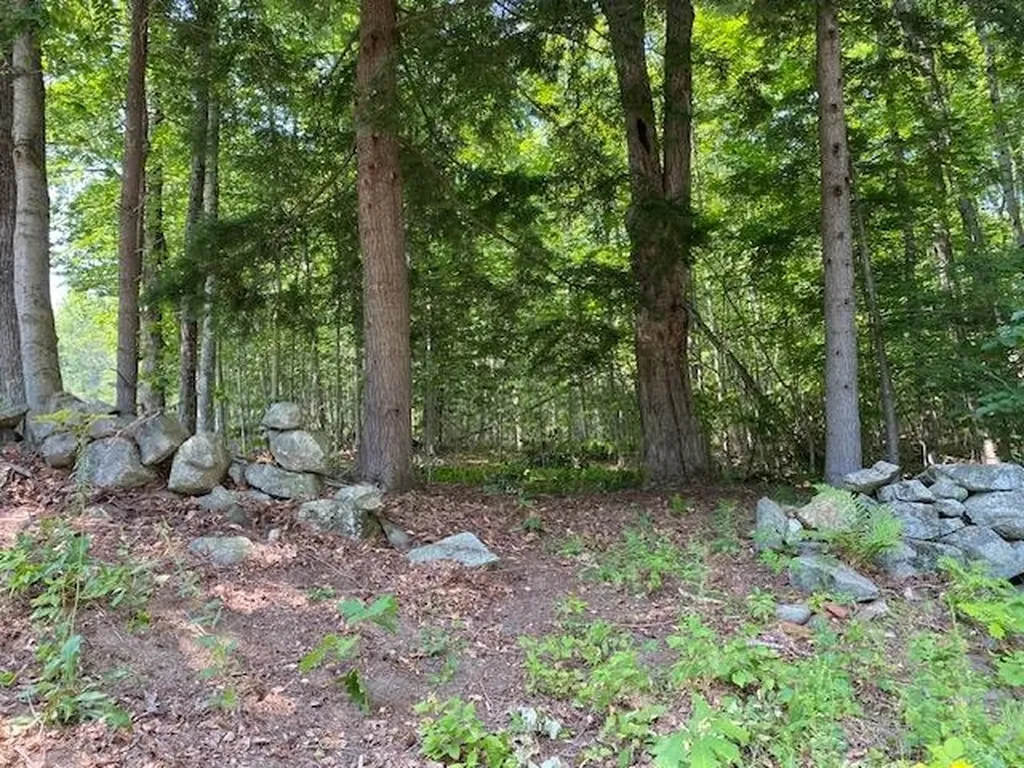 96 Nelson Hill Road Sutton NH 03221